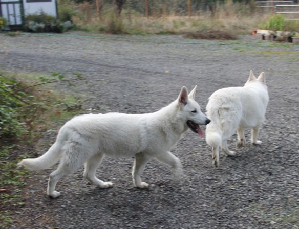 Yessi and Winnie