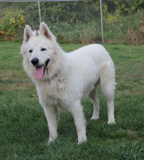 Maternal Grandfather-Argos