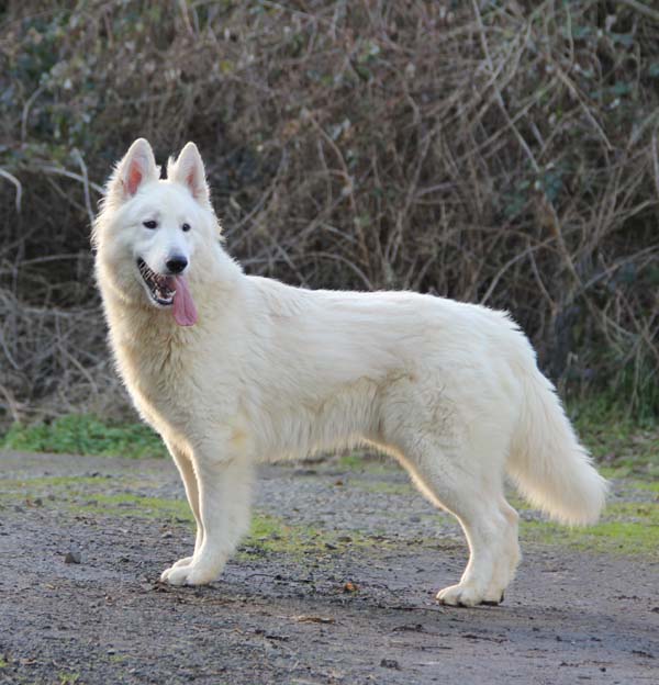 Maternal Great Grandfather-Oslo