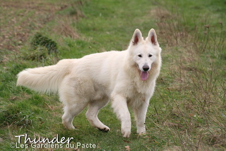 Maternal Great Grandfather